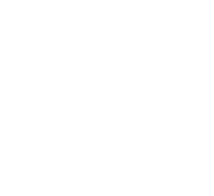 Tata emblem